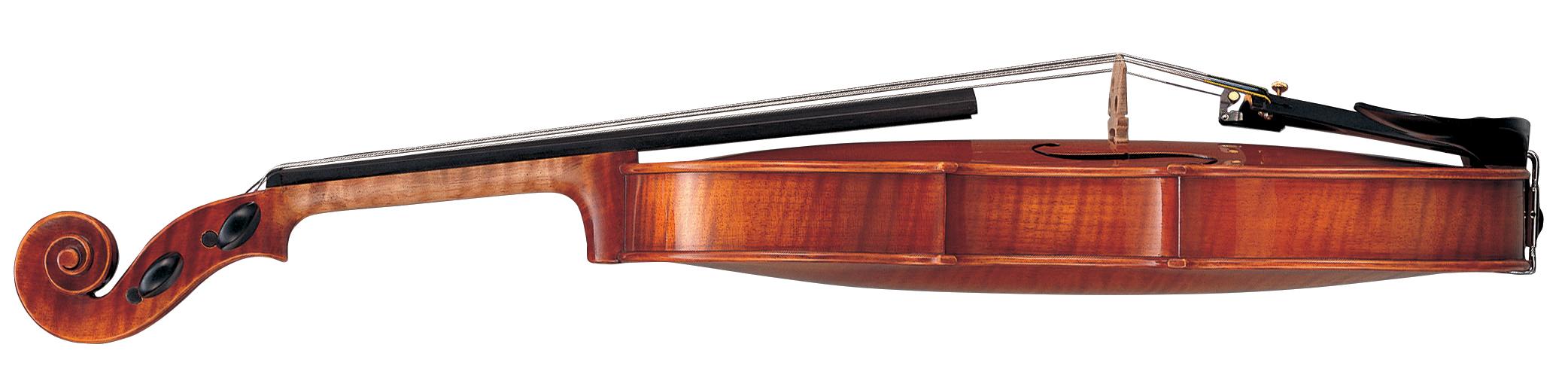 MrSilverTrumpet - Side View of a Violin